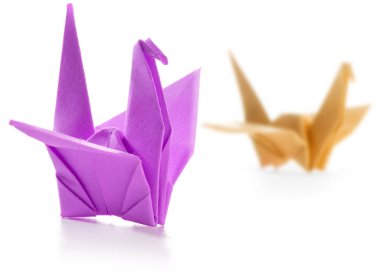 Çift renkli origami kuğu beyaz izole