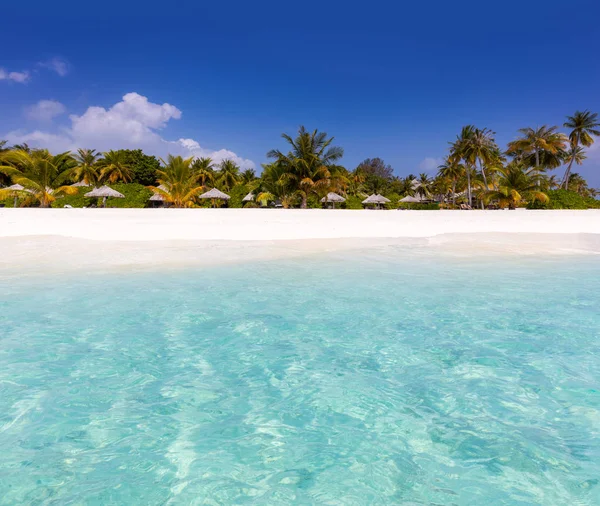 Пальмы Соломенные Зонтики Тропическом Острове Вид Пляж — стоковое фото