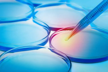 Petri kabı ve pipete yakın çekim, kimya laboratuvarı ekipmanları