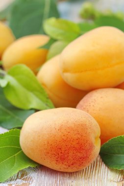 Masada taze kayısılar var.