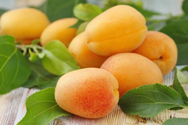 Masada taze kayısılar var.