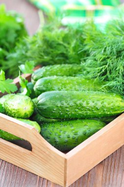 Taze salatalık salatası