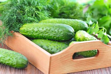 Taze salatalık salatası