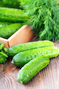 Taze salatalık salatası