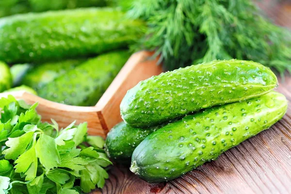 Taze salatalık salatası