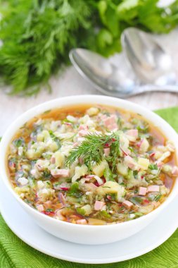 Rus soğuk çorba - okroshka