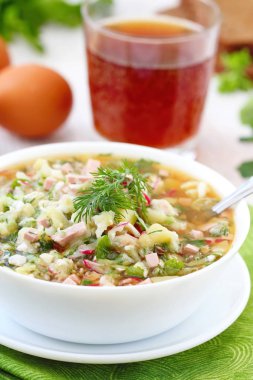 Rus soğuk çorba - okroshka