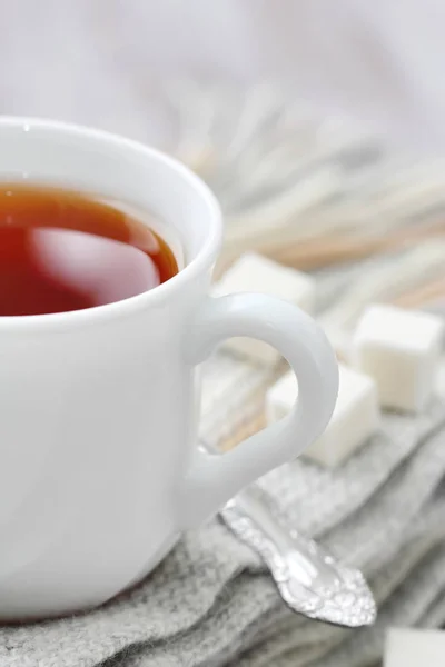 Taza de té caliente con limón y bufanda de lana — Foto de Stock