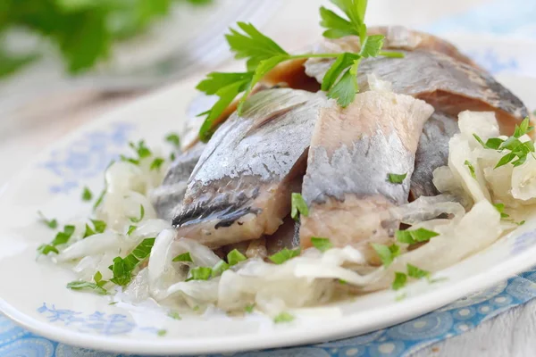 Tuzlanmış ringa balığı filetosu petrol, marine edilmiş soğan ve taze maydanoz ile — Stok fotoğraf