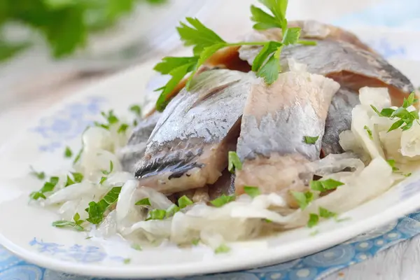 Tuzlanmış ringa balığı filetosu petrol, marine edilmiş soğan ve taze maydanoz ile — Stok fotoğraf