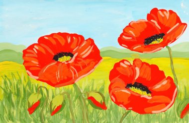 Kırmızı sulu boya haşhaş çiçekler