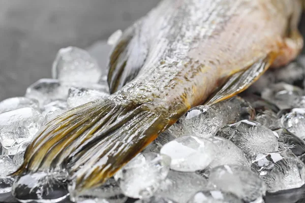 生の新鮮な魚料理の準備ができて — ストック写真