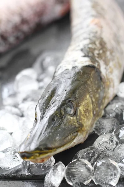 Peixe fresco cru pronto para cozinhar — Fotografia de Stock