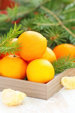 Masada taze mandalina var.