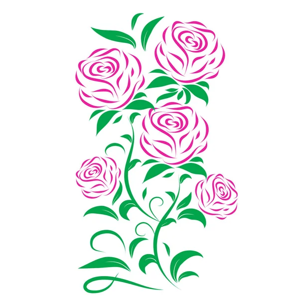 Ornement de roses roses sur fond blanc — Image vectorielle