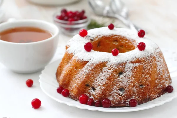 Homemade fruit cake with cranberries and dry fruit — Stock Photo, Image