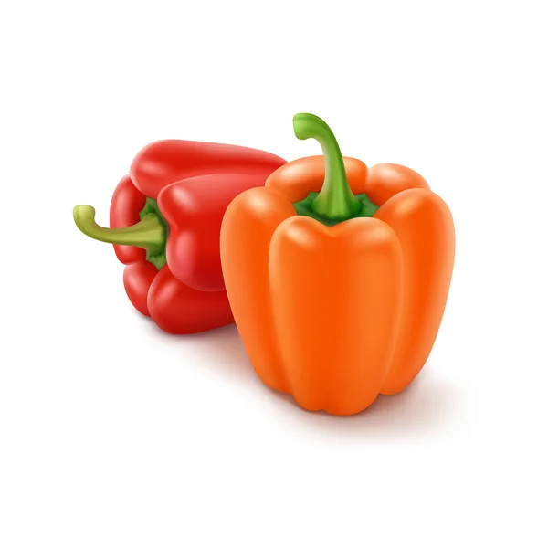 Két vektor színes narancssárga és piros édes bolgár paprika, Paprika elszigetelt a háttérben — Stock Vector