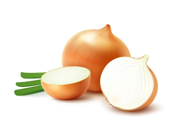 Whole and Sliced Yellow Onion Bulbs with Onions - Stok Vektor
