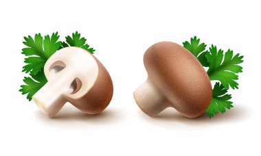 Beyaz zemin üzerine yeşil maydanoz yaprakları ile bütünleşmiş ve dilimlenmiş yarım kahverengi Portabello Agaricus petrol kümesi