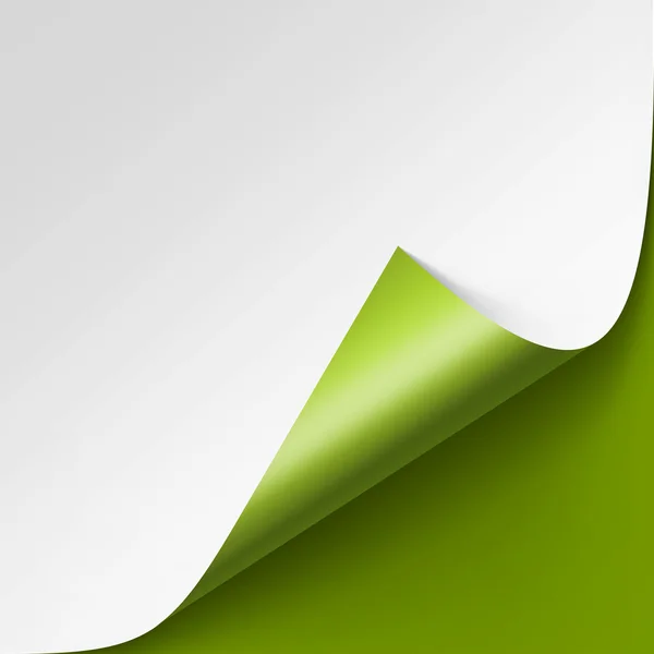 Rincón rizado de papel blanco con sombra Mock up Close up Aislado sobre fondo verde — Vector de stock