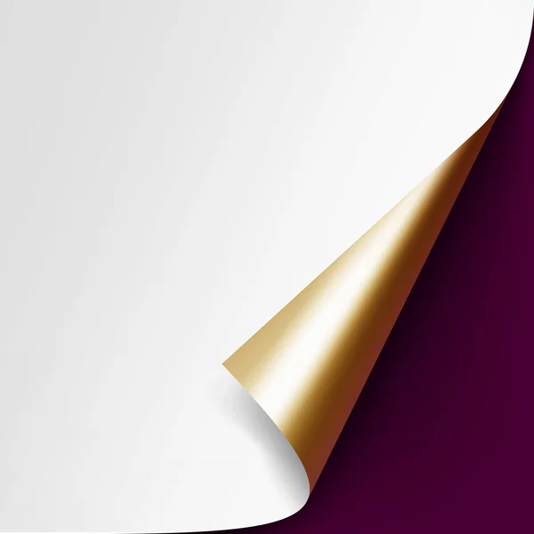 Curled Golden corner White paper with shadow on Vinous Background — Stock vektor