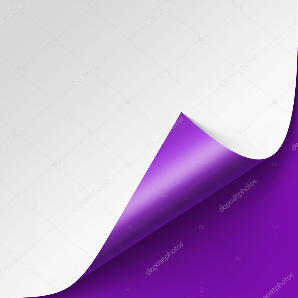 Curled corner of White paper on Purple Background