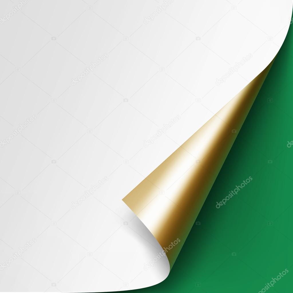 Curled Golden corner of White paper Isolated on Green Background