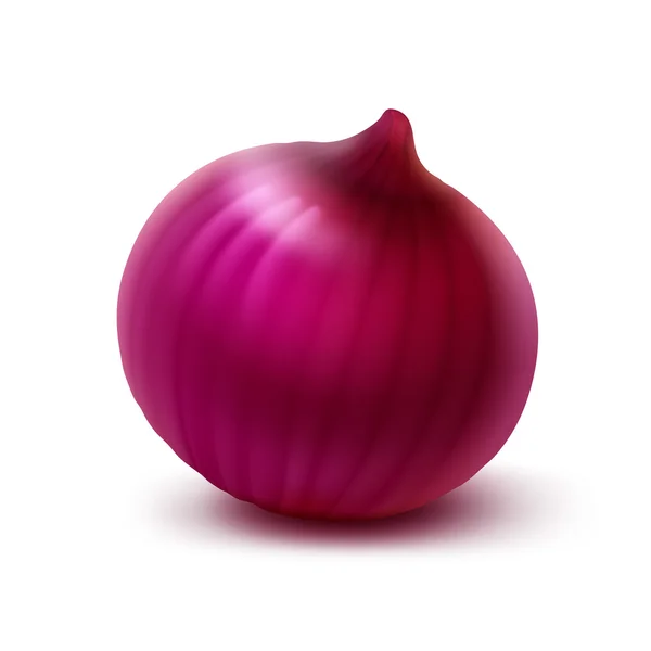 Vector Fresh Whole Red Onion Bulb Isolated on White Background — ストックベクタ