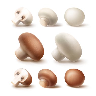 Beyaz arka plan üzerinde taze bütün ve dilimlenmiş yarım kahverengi beyaz Portabello Agaricus petrol mantar kümesi