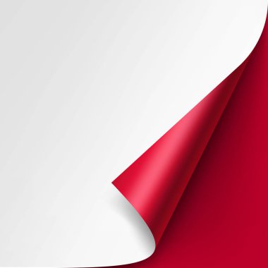Beyaz kağıt gölge göl kenarında köşesinde kıvrılmış
