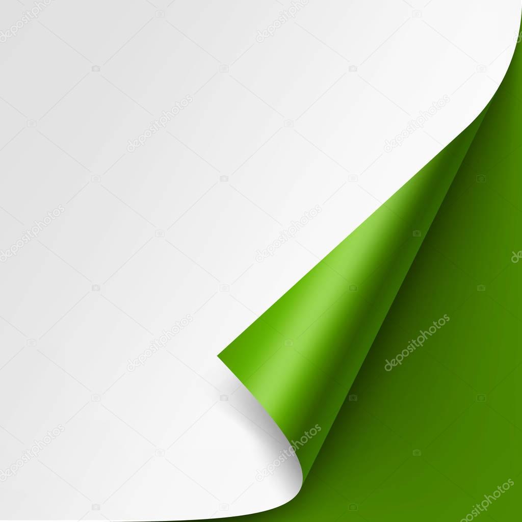 Curled corner of White paper on Green Background