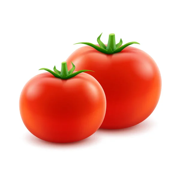 Big Ripe Red Fresh Whole Tomatoes Close up Isolated - Stok Vektor