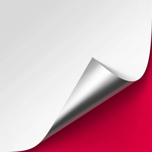 Vector rizado metálico esquina de plata de papel blanco con sombra Mock up Primer plano sobre fondo rojo — Vector de stock