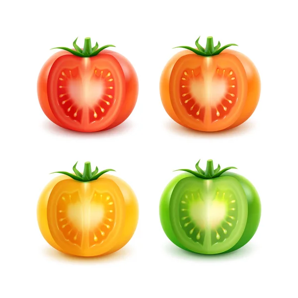 大きな熟した赤い緑オレンジ黄色カット トマトのセット — ストックベクタ