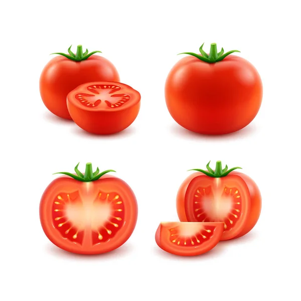 Conjunto de tomates rojos frescos cortados enteros Cierre aislado — Vector de stock