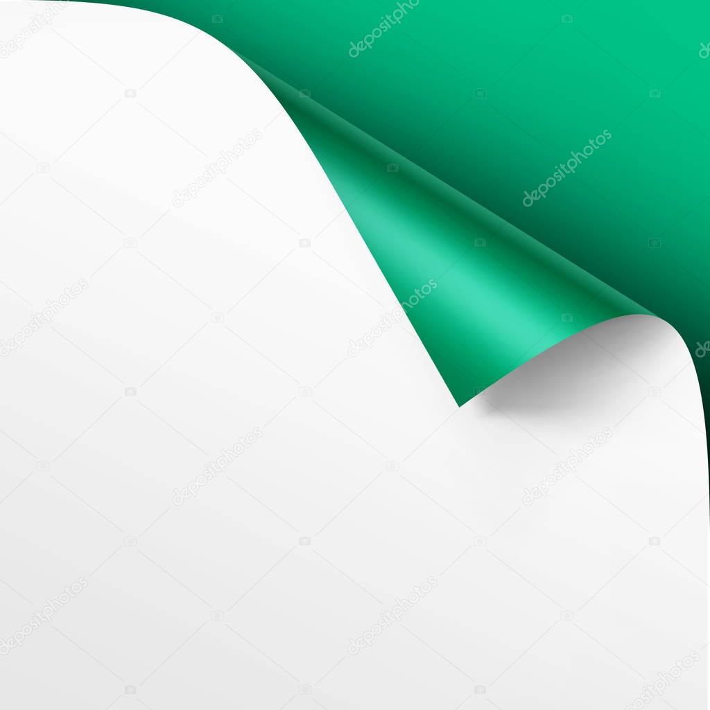 Vector Curled corner of White paper with shadow Mock up Close up Isolated on Bright Green Background