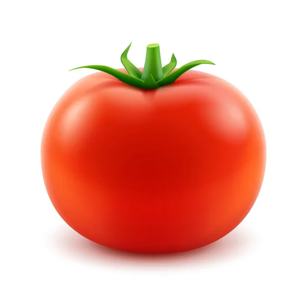 Grande maduro rojo fresco tomate entero primer plano aislado — Vector de stock