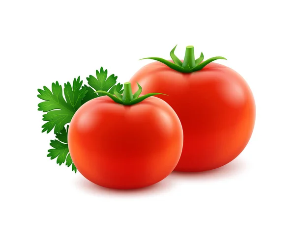 Big Ripe Red Fresh Whole Tomatoes with Parsley - Stok Vektor