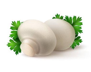 Vektör yığın, taze bütün beyaz Portabello Agaricus petrol mantar ile yeşil maydanoz yaprakları yakın göl kenarında beyaz arka plan üzerinde yukarı