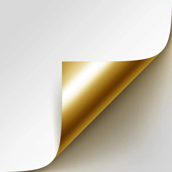 Vetor Enrolado Canto Dourado de Papel Branco com Sombra Mock up Close-up Isolado em Fundo Branco — Vetor de Stock