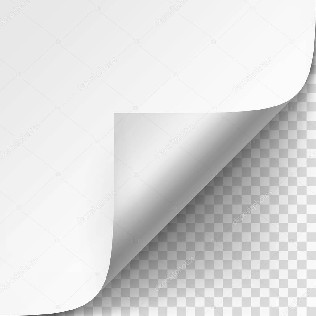 Curled corner of White paper with shadow Mock up Close up Isolated on Transparent Background