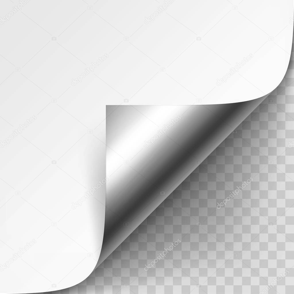 Vector Curled Silver Metalic Corner of White Paper with Shadow Mock up Isolated on Transparent Background