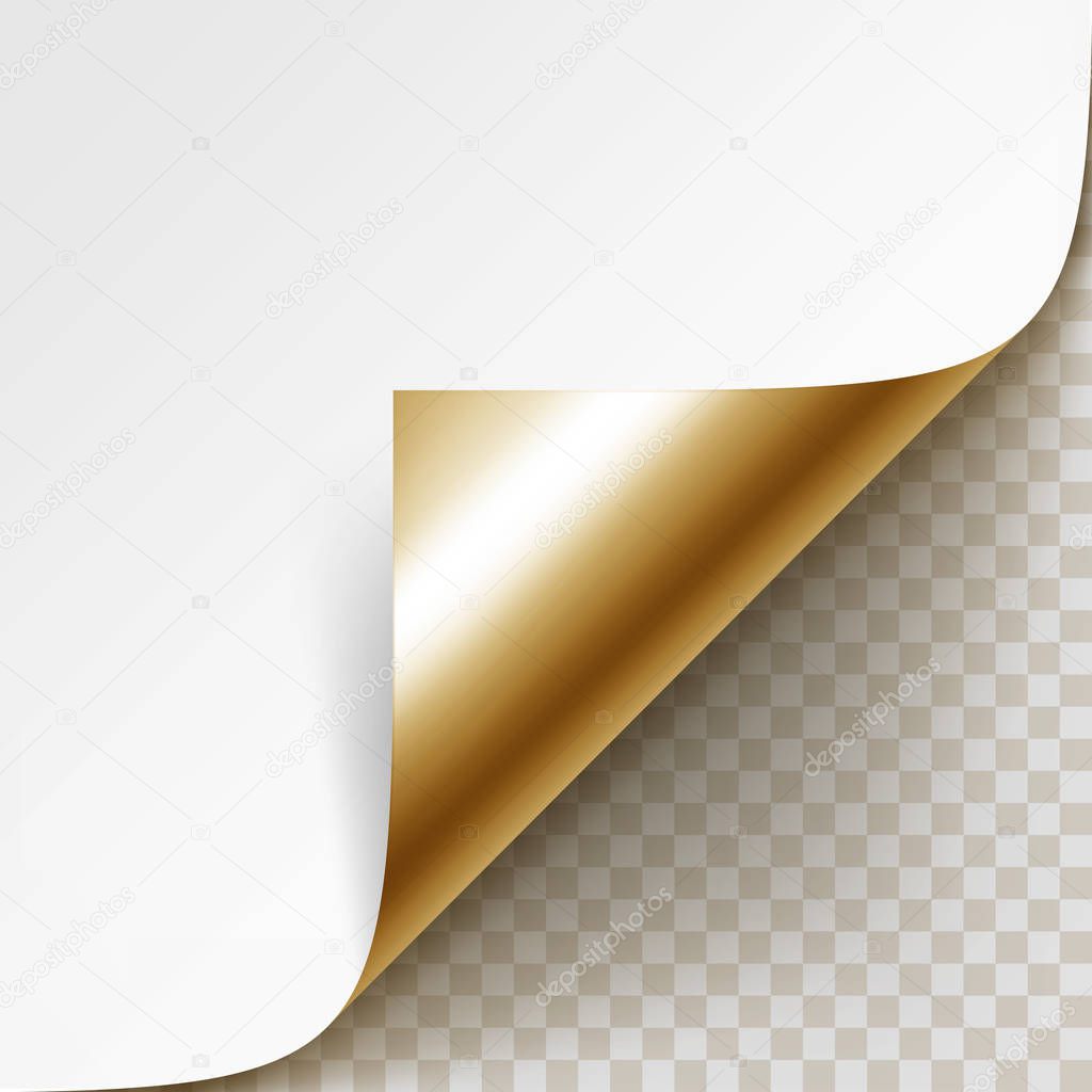 Vector Curled Golden Corner of White Paper with Shadow Mock up Close up Isolated on Transparent Background