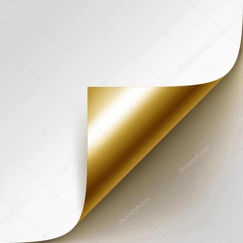 Vector Curled Golden Corner of White Paper with Shadow Mock up Close up Isolated on White Background