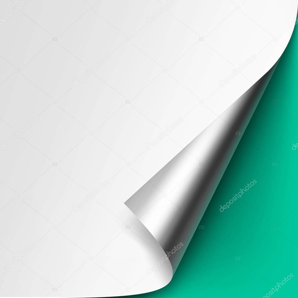 Silver corner of White paper on Green Background