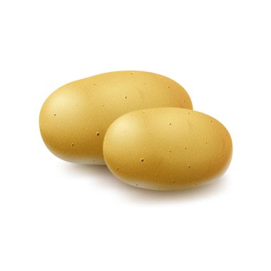 İki vektör yeni sarı ham bütün Unpeeled patates yakın beyaz arka plan üzerinde