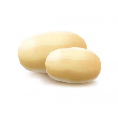 İki vektör yeni sarı ham bütün soyulmuş patates yakın göl kenarında beyaz arka plan üzerinde