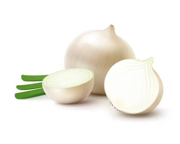 Vector Fresh Whole and Sliced White Onion Bulbs - Stok Vektor