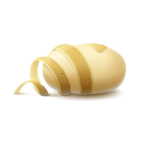 Жовта сира очищена картопля зі скрученою шкіркою — стоковий вектор