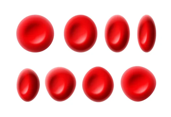 Red blood cells — Stock Vector